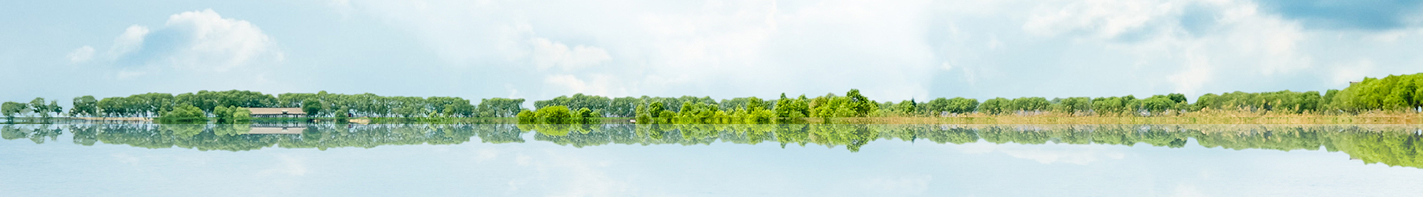 5f8574c9d5179 技术与创新